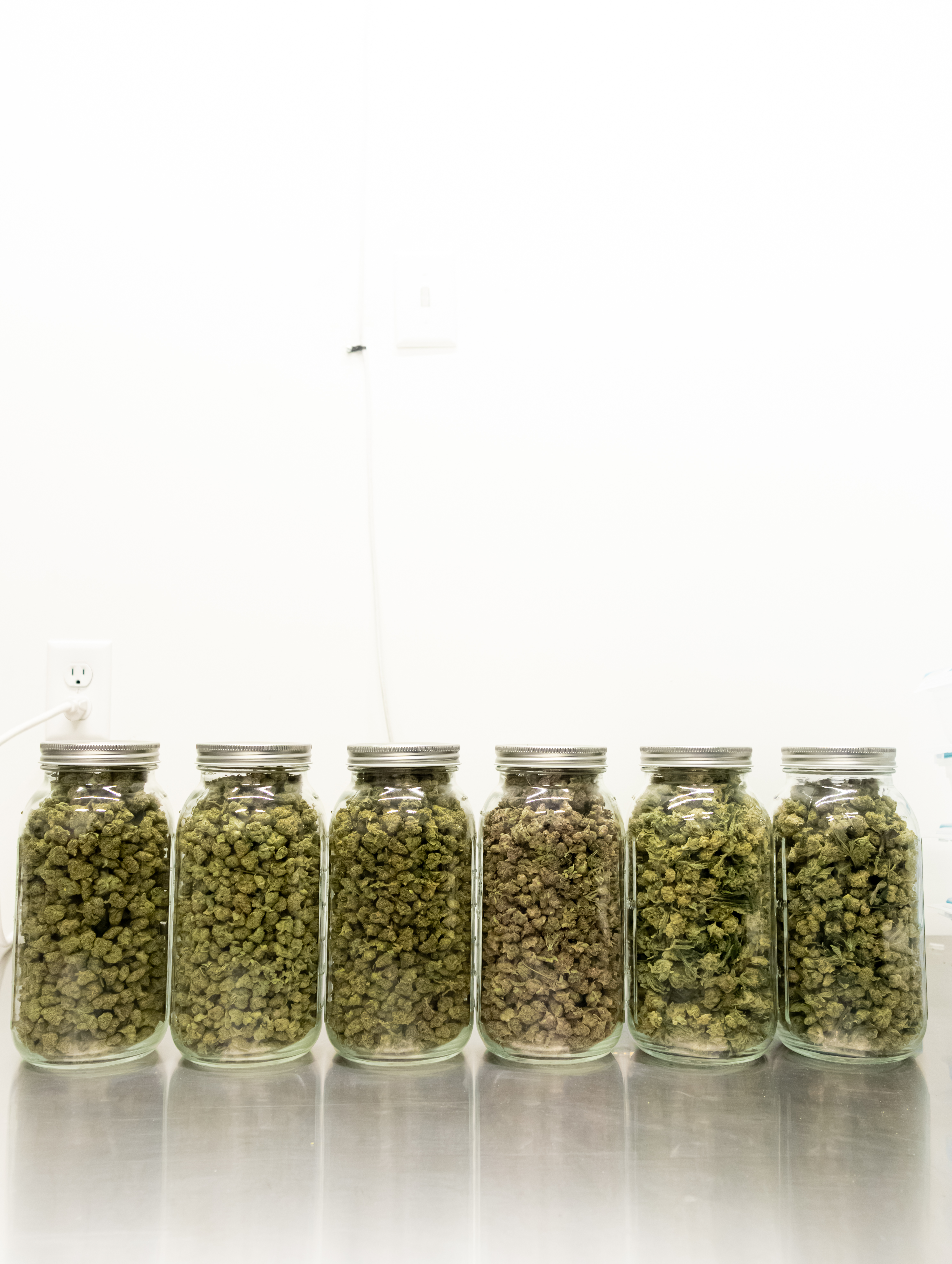 Production facility detail